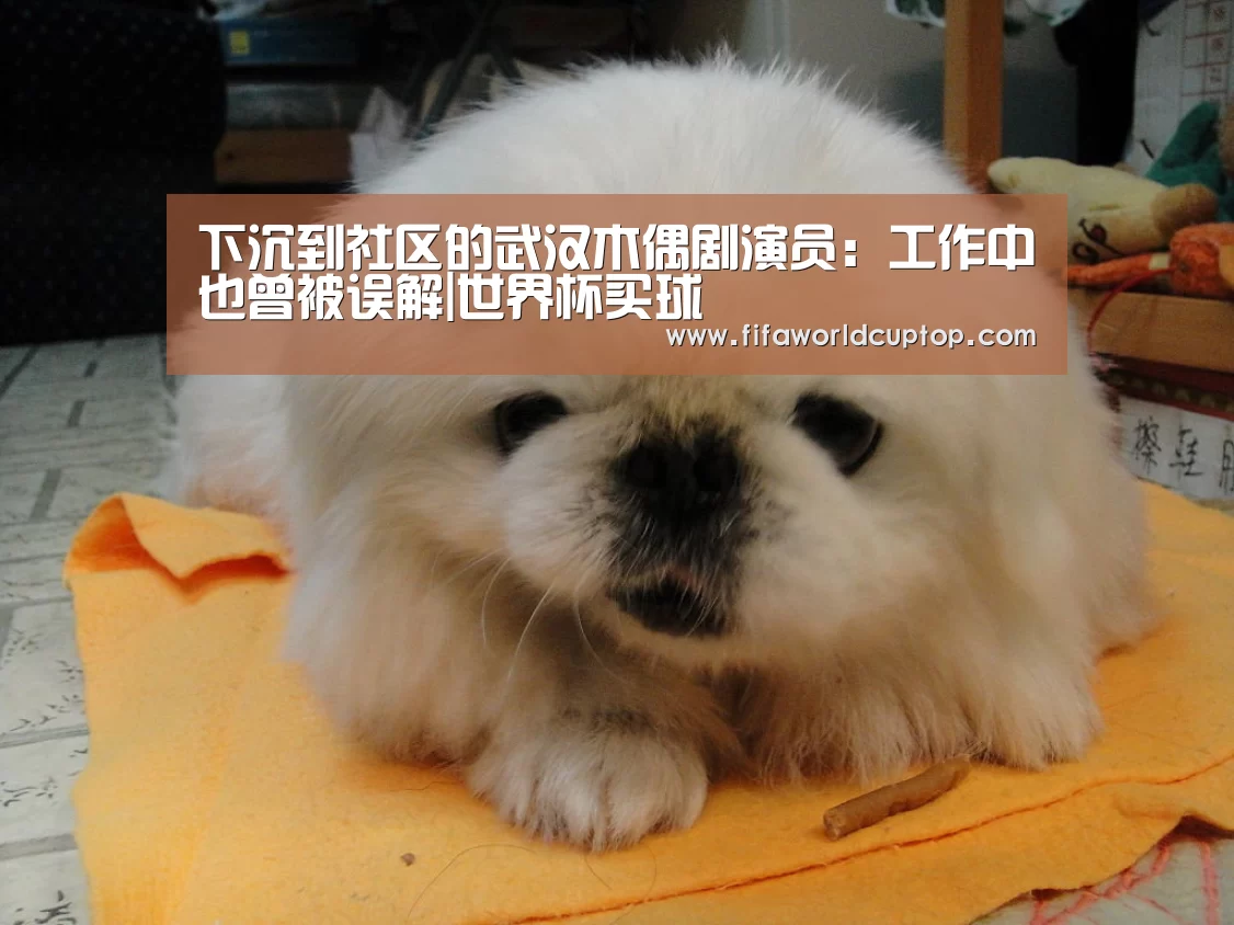 下沉到社区的武汉木偶剧演员:工作中也曾被误解|世界杯买球(图2) 世界杯买球