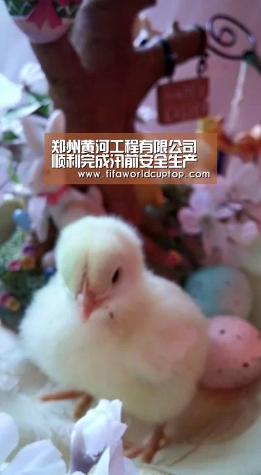 郑州黄河工程有限公司顺利完成汛前安全生产自查工作_世界杯赛程(图3) 手机买球官网